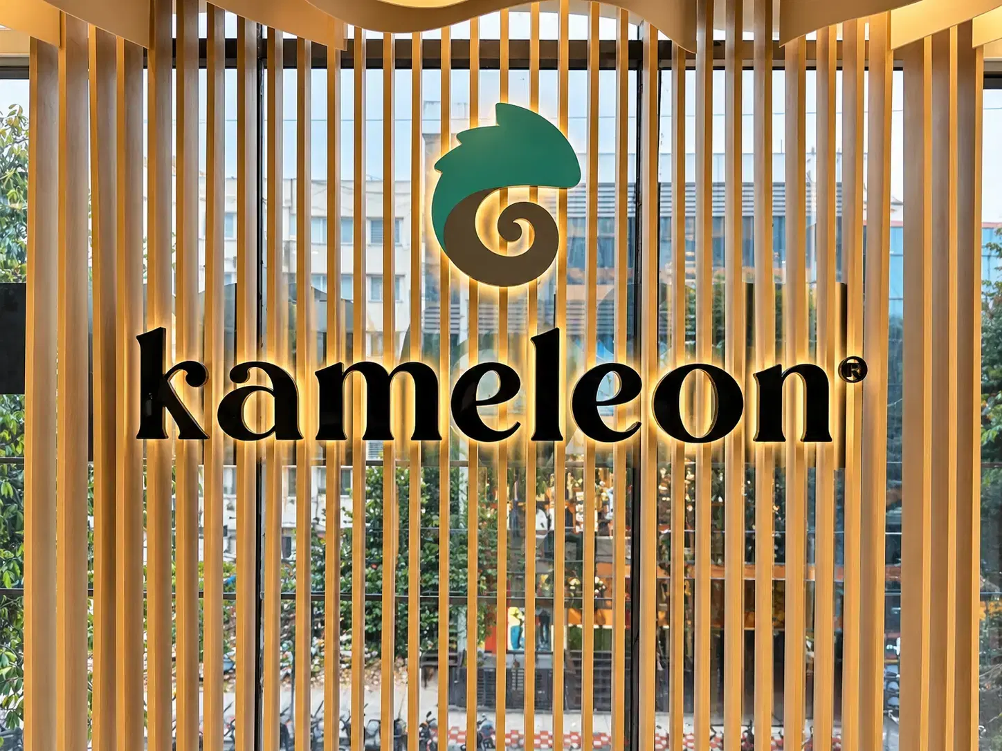 Kameleon Salon Chandra Layout interior